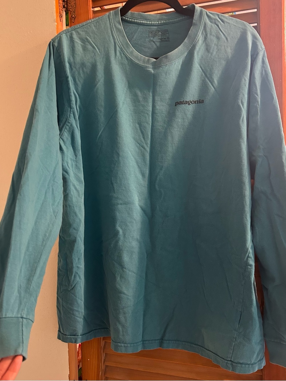 Patagonia Men's Long-Sleeve Tee